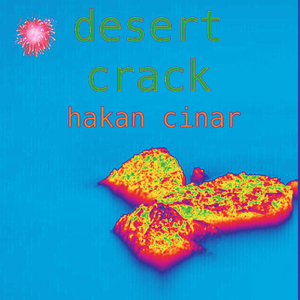 Desert Crack