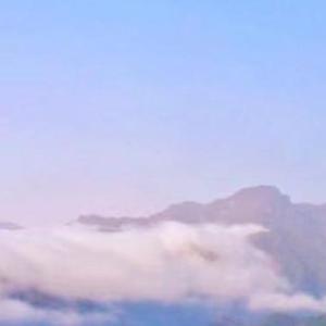 错过惊世的依恋