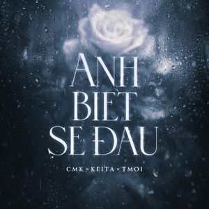 Anh Biết Sẽ Đau