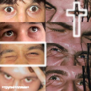 трупні плями