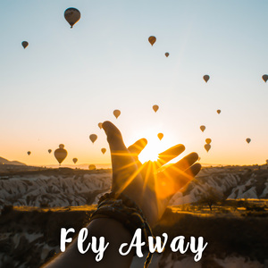 Fly Away