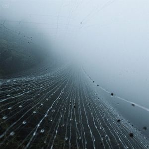 雨线缝雾