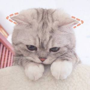 你的酒馆对我打了烊【温柔少御版】