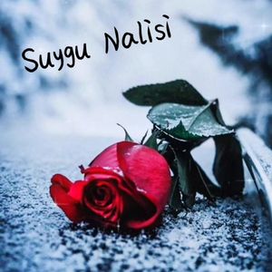 Suygu Nalisi