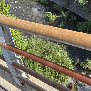 歩きで行こうよ (feat. 足立レイ)