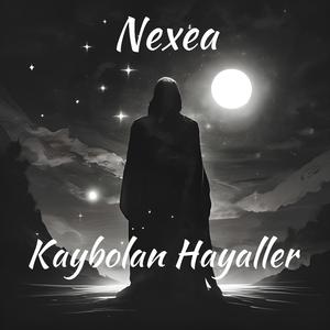Kaybolan Hayaller