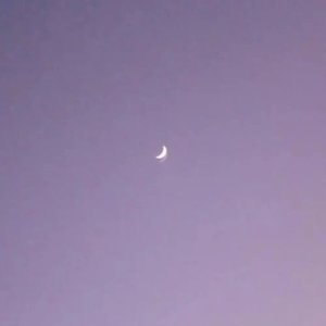 Rook1e-˃̣̣̥᷄⌓˂̣̣̥᷅（Shopping Cart remix）