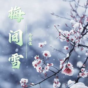 梅间雪