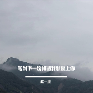 等到下一次相遇我就爱上你