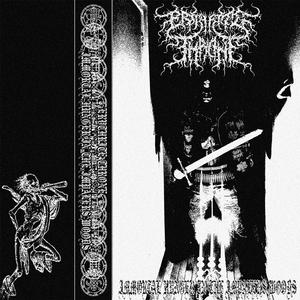 Black Wolves of Cold Night