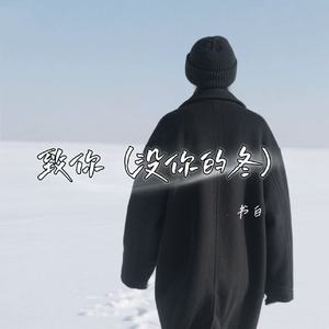 致你 (没你的冬)