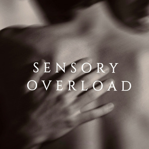 Sensory Overload(LP悬溺曲）