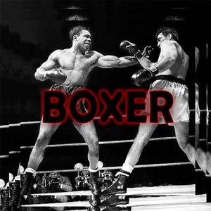 Boxer