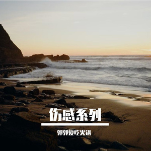 海风与遗憾，无损