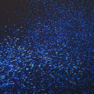 痴Prod By Lemon MAX