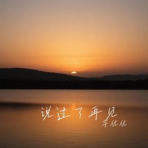 说过了再见 (Cover 赵乃吉)