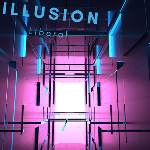 illusion