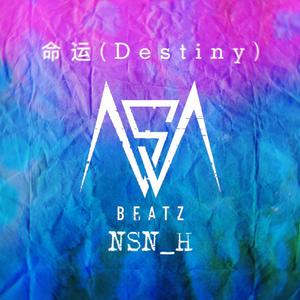 命运（Destiny)