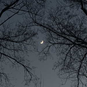 晚风星絮
