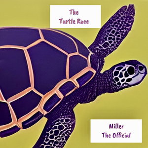The Turtle Race