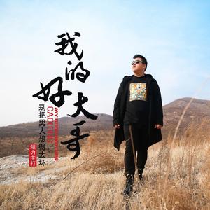 我的好大哥 (DJ版)