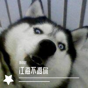 《coco ball(原唱: 韩国群星)》