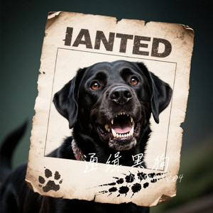 黑狗通缉令 伴奏