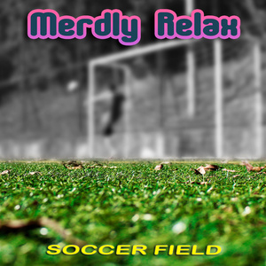 Soccer Field