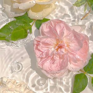 穿越时空的拥抱