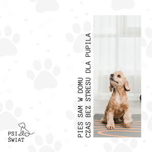 Pozytywne Doświadczenie