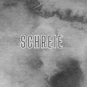 Schreie (Pastiche/Remix/Mashup)