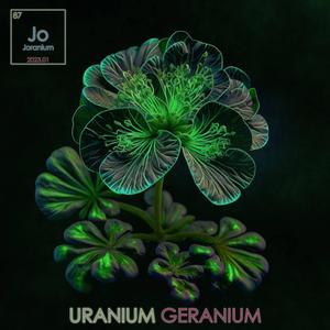 Geranium