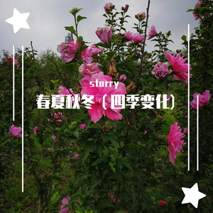 鸟语花香（春天）