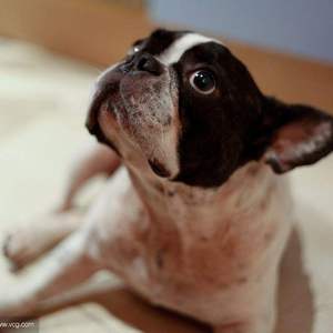 003_沧江夜雨_20230822