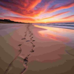 별빛 아래 우리