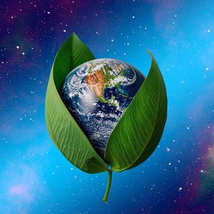 마지막으로 부르는 너의 이름이 하늘을 울린다