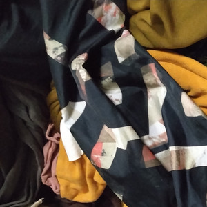 植物だけという