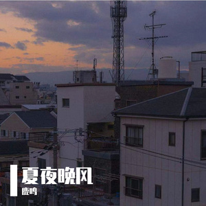 夏夜晚风