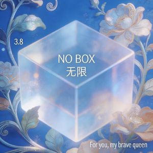 NO BOX-Version 1