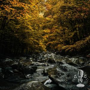 Creek