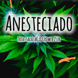 Anesteciado