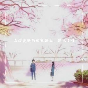 樱花遍地的回家路上，遇见了你