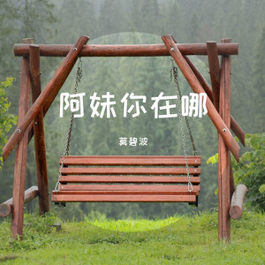 阿妹你在哪