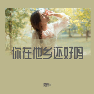 你在他乡还好吗