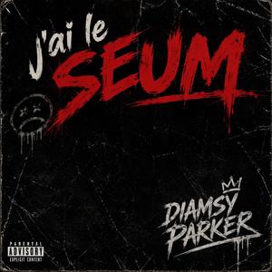 J'ai le Seum