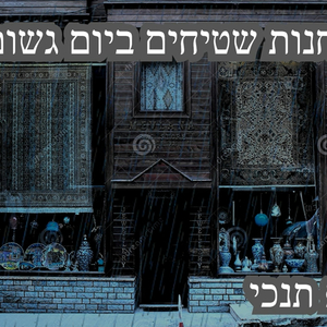 חנות שטיחים ביום גשום