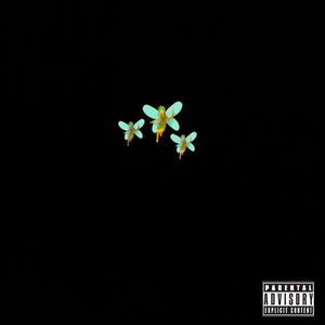 Fairy (Yop) (remix)