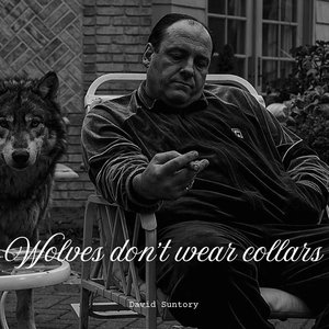 Wolves don't wear collars