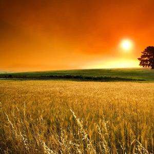 不想跟你有故事了