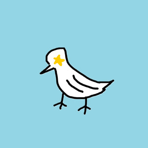 キラキラのカラス